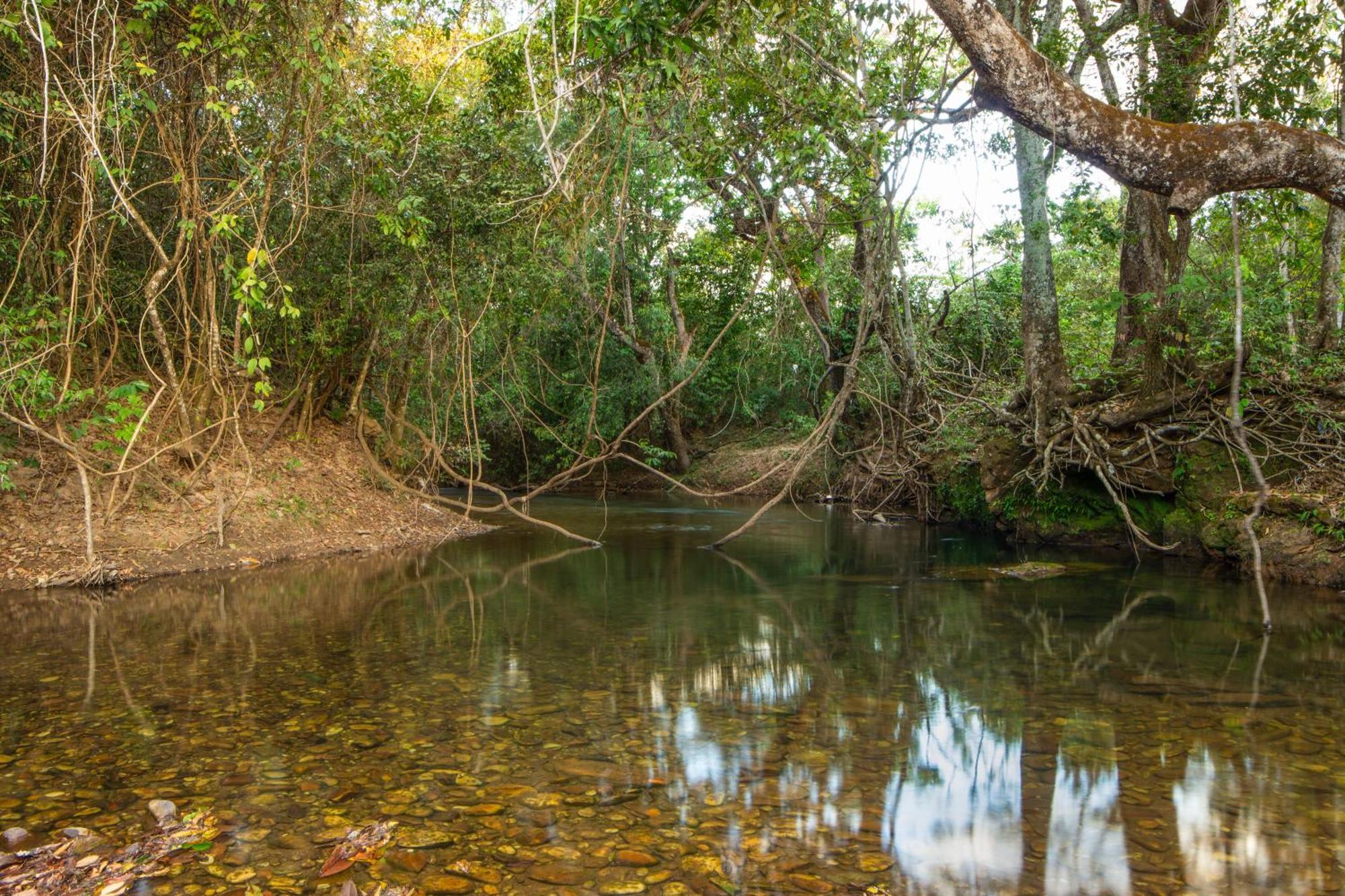 Camping Das Aguas Pirenópolis Dış mekan fotoğraf